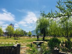 -丽江泸沽湖景区-里格半岛