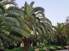 -苏州河梦清园环保主题公园