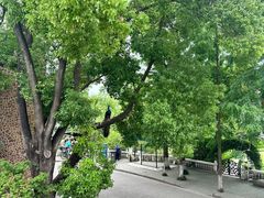 -J Create城市露营咖啡·简餐·宠物(上海动物园店)