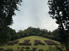 -深圳仙湖植物园