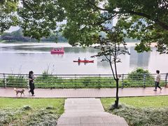 -美兰湖景区