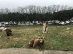 -西安秦岭野生动物园