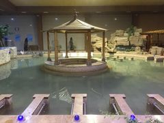 -陆地游轮吉林神农温泉