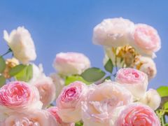 -海底捞火锅(九久奥特莱斯店)