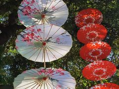 -广州市白云山风景名胜区