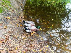 -水濂山森林公园