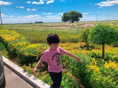 -敕勒川草原文化旅游区