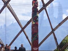 -怀托摩萤火虫洞