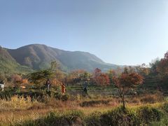 -塔川景区