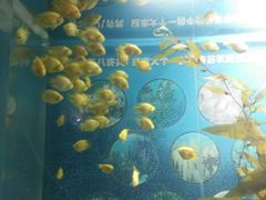 -福州罗源湾海洋世界旅游区