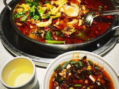 -蛙蛙鸡冷锅鱼(驷马桥店)