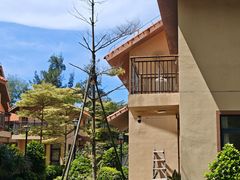 -六鳌翡翠湾滨海度假景区