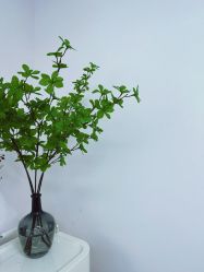 -变美丽半永久纹眉连锁·机器野生眉·洗眉
