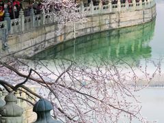 -颐和园