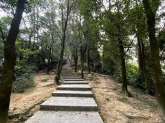 -火炉山森林公园