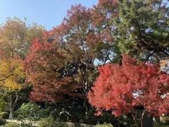 -南浦大桥长途旅游客运站