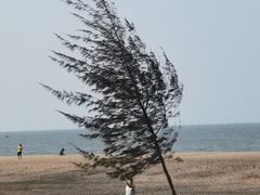 -白沙门生态公园