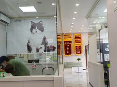 -瑞鹏宠物医院·微创内窥镜·骨外科·牙科(翠竹分院)