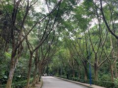 -滴水岩森林公园
