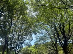 -顺峰山公园