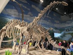 -自贡恐龙博物馆
