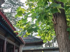 -承德避暑山庄景区