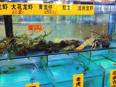 -寻味顺德·南记酒家·传统顺德菜·鱼生(广源路店)