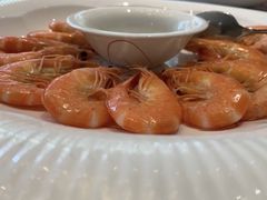 -金陵精菜馆