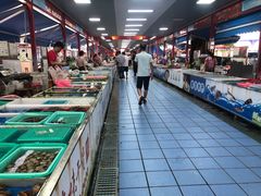 -大湾区中央湿地公园-十九涌