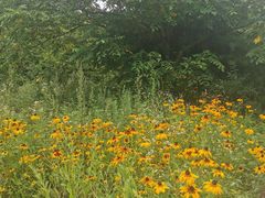 -青峰峡国家森林公园