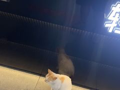 -家宴·灌蛋·沙茶面(曾厝垵店)