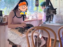 -海边的猫和咖啡馆
