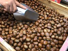 -阿男野栗王(金门路店)