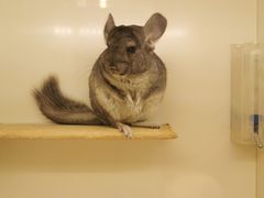 -龙猫仔乐园(惠福东路店)