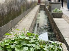 -崇仁古镇