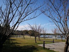 -上海月湖雕塑公园