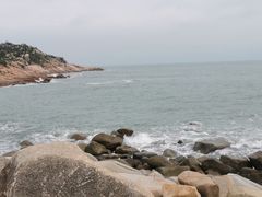 -广东惠东海龟国家级自然保护区