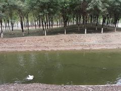 -东郊湿地公园