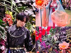 -正佳雨林生态植物园