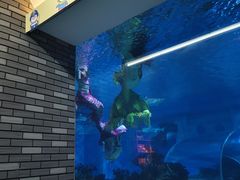 -成都浩海立方海洋公园