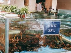 水产区-旺顺阁海鲜广场(亚运村店)