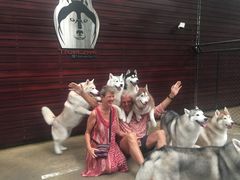 -TrueLove @ Neverland (Husky Cafe)