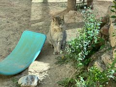 -青藏高原野生动物园