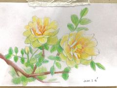 -八哥美术·成人美术画室(总校区)