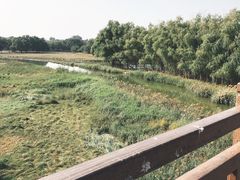 -北京麋鹿生态实验中心