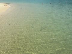 -巴拉湾海滩