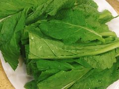 -东巴谷野生菌火锅餐厅