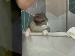 -瑞鹏宠物医院·骨科·猫科·内科(第一中心)