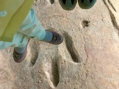 -湖南省地质博物馆