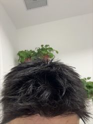 -ODIN 奥丁形象设计 
